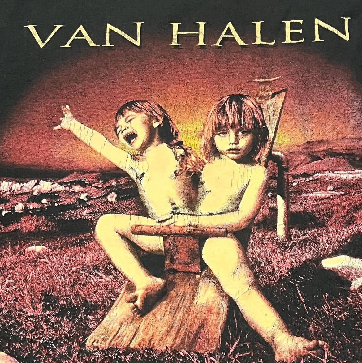 Vintage 1995 Van Hallen Shirt Size XL