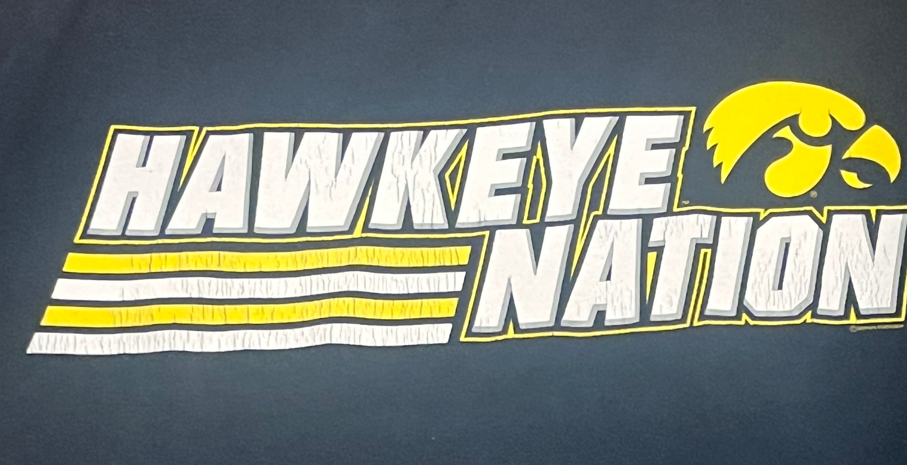 Vintage Iowa Hawkeye Shirt Size Large